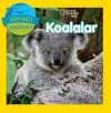 Koalalar - Dünyamızı Keşfedin