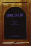 Erol Bulut