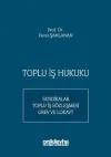 Toplu İş Hukuku: Sendikalar - Toplu İş Sözleşmesi-Grev ve Lokavt (Ciltli)