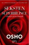 Seksten Süperbilince