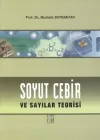 Soyut Cebir ve Sayılar Teorisi