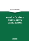 Sınai Mülkiyet Haklarının Cebri İcrası (Ciltli)