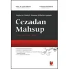 Yargıtay'ın Tümüyle Taranmış İçtihatları Işığında Cezadan Mahsup