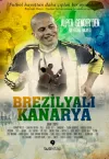 Brezilyalı Kanarya
