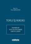 Toplu İş Hukuku (Ciltli)