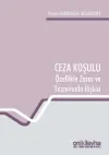 Ceza Koşulu ve Özellikle Zarar ve Tazminatla İlişkisi