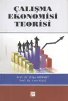 Çalışma Ekonomisi Teorisi