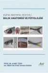 Dijital Materyal Destekli Balık Anatomisi ve Fizyolojisi