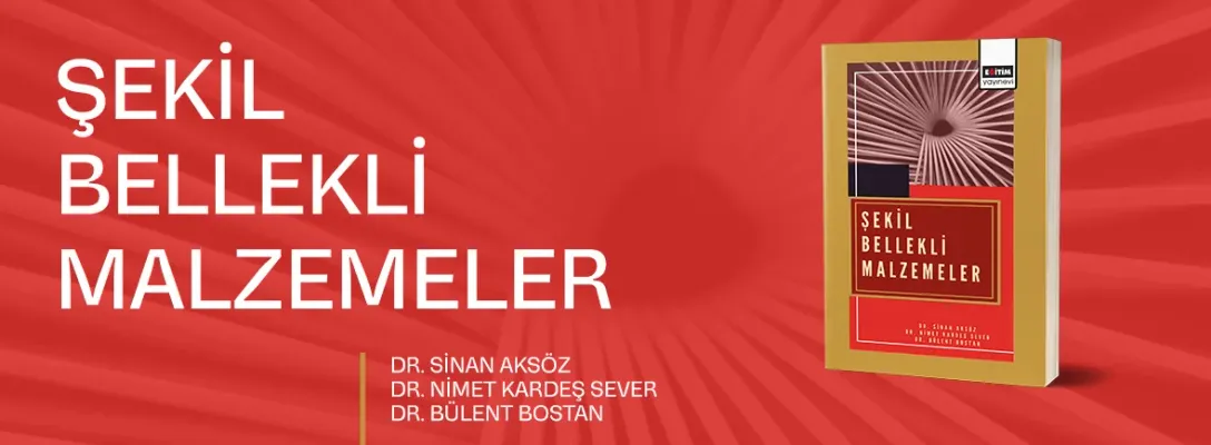 2_2 şekil bellekli