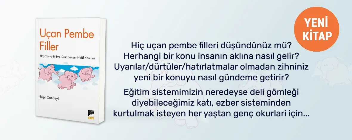 Uçan Pembe Filler