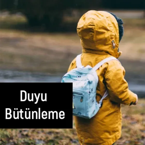 Duyu Bütünleme
