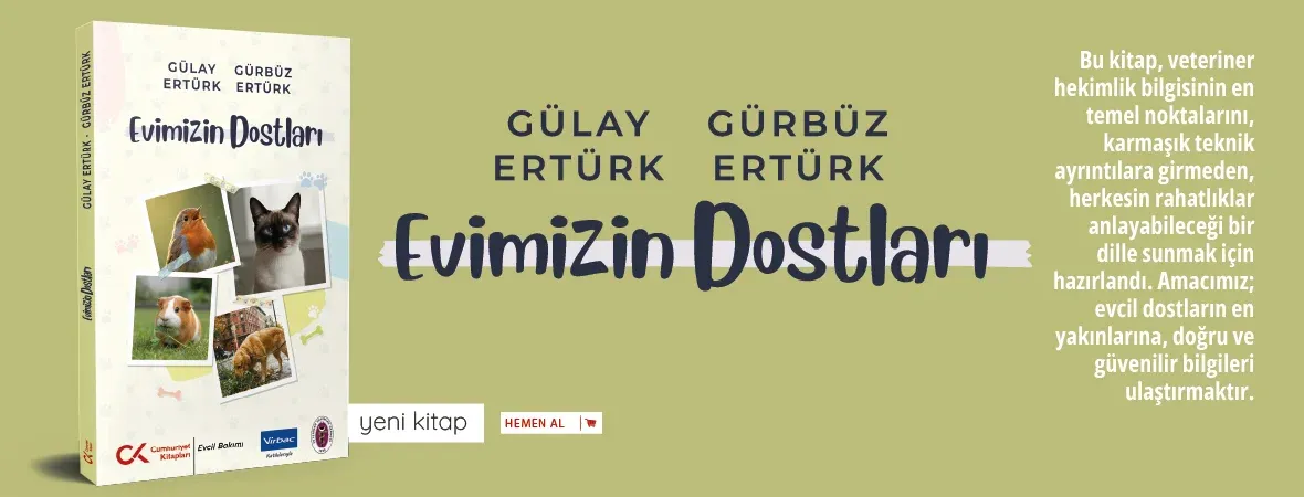 Evimizin Dostları