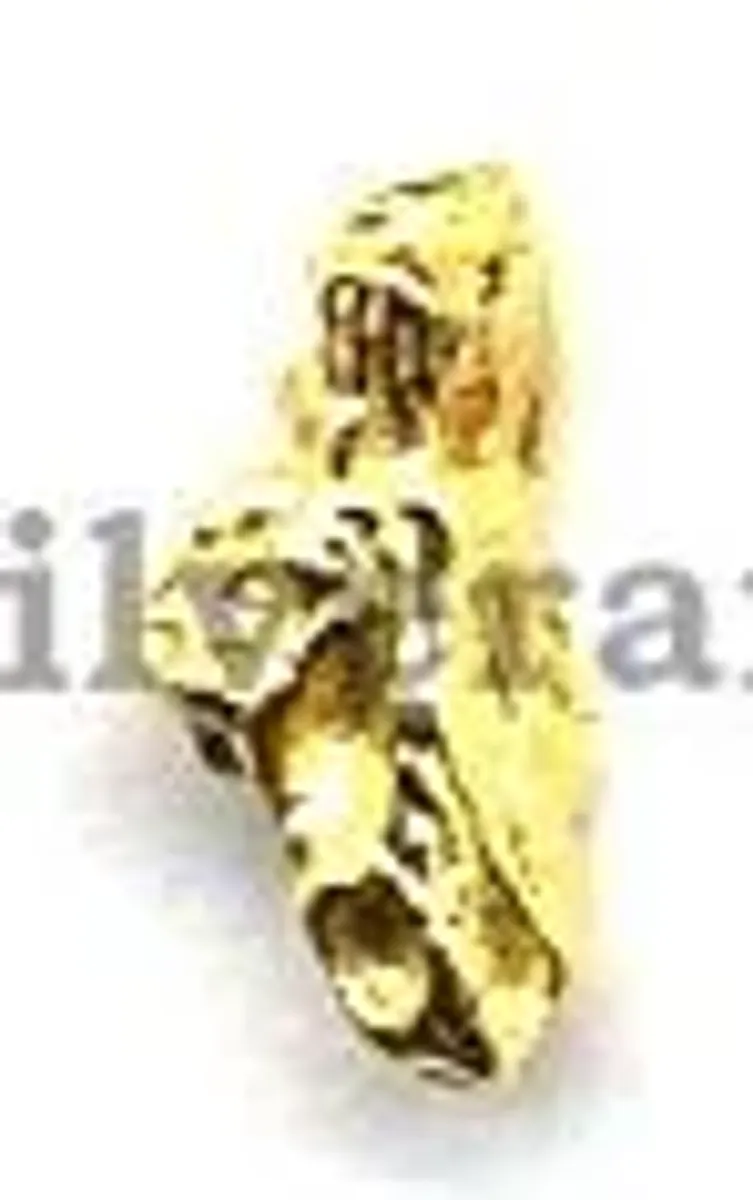 Gold Vermeil - Coral Shape