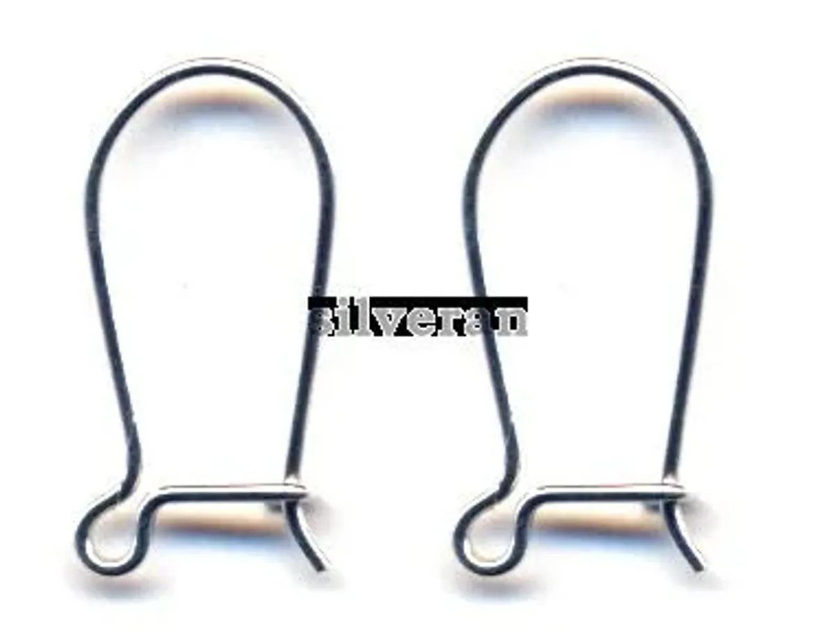Ear Wire Silver