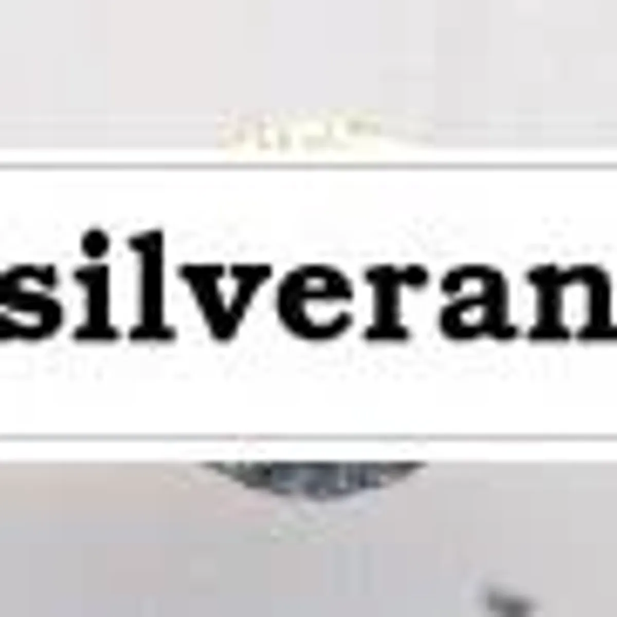 Sterling Silver Findings 2