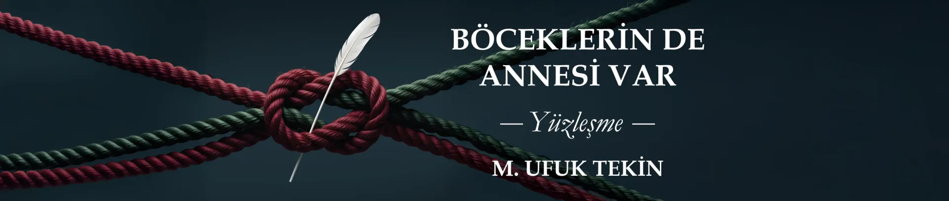 Böceklerin de Annesi Var