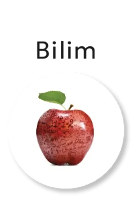 Bilim