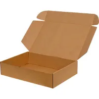 Kilitli Karton Kutu 35x22x12 cm.