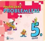 Pratik Zeka Problemleri