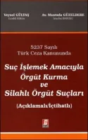 Suç İşlemek Amacıyla Örgüt Kurma ve Silahlı Örgüt Suçları