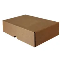 Kilitli Karton Kutu 28x14x6 cm.