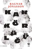 Kar Körlüğü