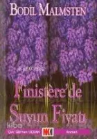 Finistere'de Suyun Fiyatı