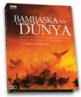 Bambaşka Bir Dünya