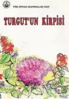 Turgut'un Kirpisi
