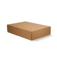 Kilitli karton Kutu 22x13x4 cm.