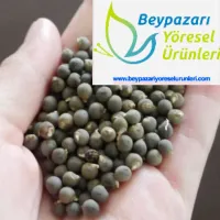 Bamya Tohumu 250 gr