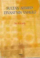 Sultan Ahmed Divanı'nın Tahlili