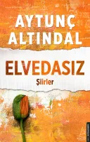 Elvedasız