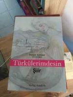 Türkülerimdesin
