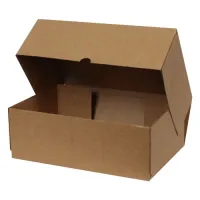 Kilitli Karton Kutu 32x22x16 cm