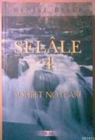 Şelale 4