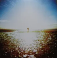 Anathema ‎– We're Here Because We're Here LP