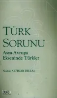 Türk Sorunu
