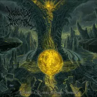 Molested Divinity ‎– Desolated Realms Through Iniquity CD
