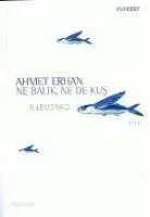 Ne Balık Ne De Kuş