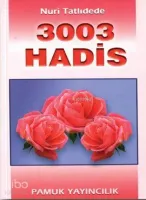 3003 Hadis (Hadis-002)