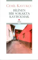 Bilinen Bir Sokakta Kaybolmak