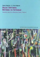 Bıçak Sırtında Büyüme ve İstikrar