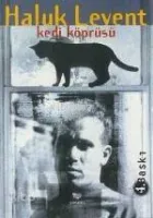 Kedi Köprüsü