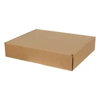 Çift Oluklu Kilitli Karton Kutu 50x40x10 cm.