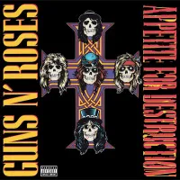 Guns N' Roses ‎– Appetite For Destruction LP