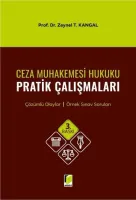 Ceza Muhakemesi Hukuku Pratik Çalışmaları