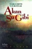 Akan Su Gibi