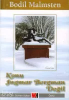 Konu Ingmar Bergman Değil