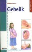 Gebelik